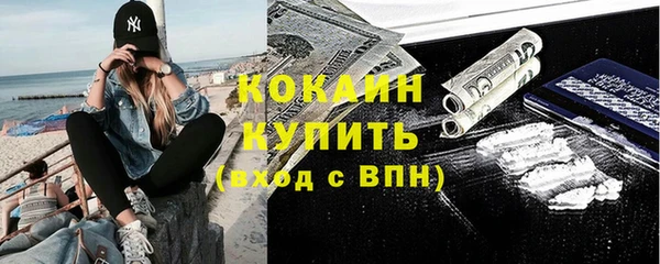 кокс Алексин
