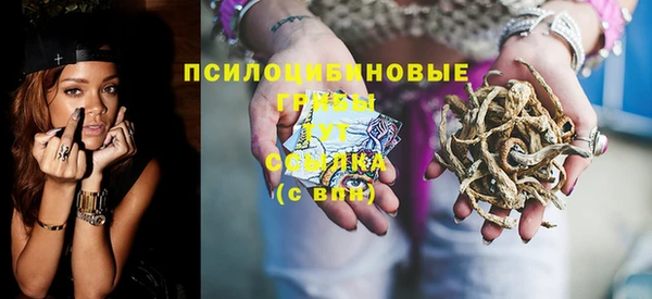 прущий лед Аркадак